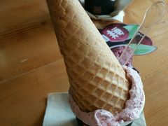 杨梅冰淇淋-野人牧坊Gelato(天津南开大悦城店)