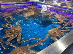 -盒马鲜生(悦峰店)