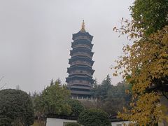-重庆园博园