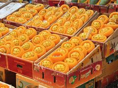 -三亚新鸿港水果一级批发市场