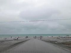 -塔尔寺-菩提树