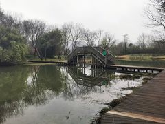 -西溪国家湿地公园