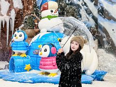 -长沙湘江冰雪世界