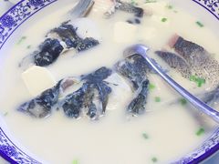-全乐鱼馆·淳牌有机鱼直营店