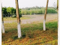 -东郊湿地公园