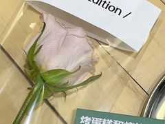 -村口大树(长乐路店)
