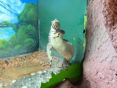 -上海昆虫博物馆