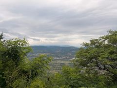 -白鹿原樱桃园