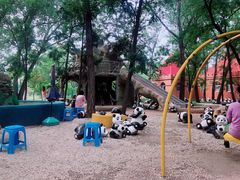 -南戴河国际娱乐中心