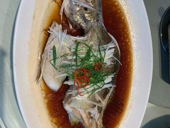 -真爱中国餐馆·年华店(朱雀大街店)
