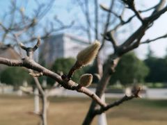 -明故宫遗址公园