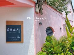 -菌林天下·野生菌汤锅