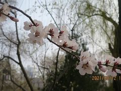 -迎泽公园