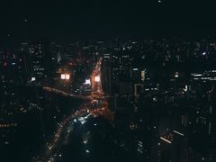 -东京塔海贼王主题公园