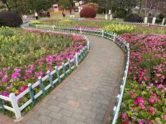 -铁山坪森林公园