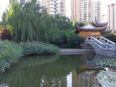 -南普公园
