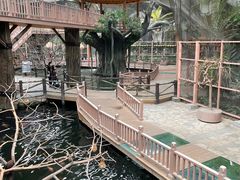 -南宫五洲植物乐园