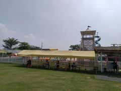 -长洲岛都市农业公园