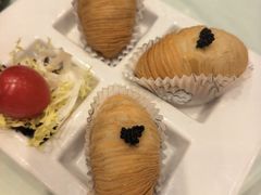 -翠园(北京王府中环店)