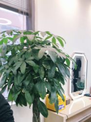 -悦·臻时美发沙龙