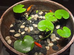 -曲水兰亭(北京四惠店)