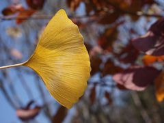 景点-百里山水画廊