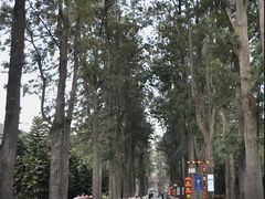 -西昌邛海宾馆