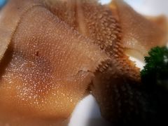 精品毛肚-傣妹火锅(南京东路一店)