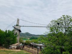 -青岛森林野生动物世界