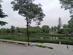 -渭滨公园