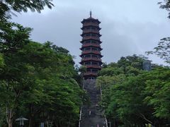 -红花山公园
