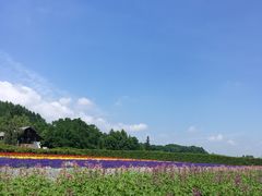 -富田农场