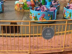 -无锡动物园·太湖欢乐园