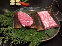 -活伊势龙虾料理 中纳言(千日前味乐馆店)