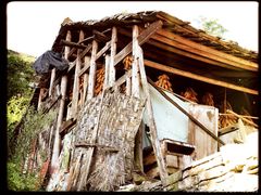 -高荡千年布依古寨旅游景区