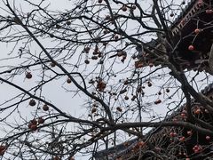 -西安华清御汤酒店