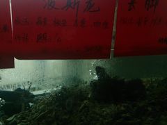 -浒顺大酒店(相城店)