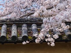 -醍醐寺