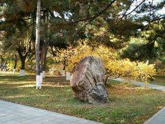 -东北大学(南湖校区)