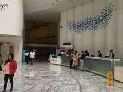 -深圳东部华侨城瀑布酒店