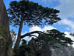 -黄山风景区
