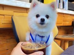 -工页咖啡X COFFEE(龙东路店)