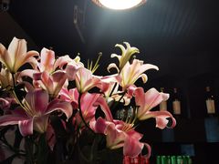 -易门野生菌府·菌海森林(月牙潭公园店)