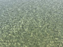 -汕尾风车岛