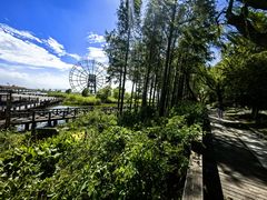 -苏州太湖湖滨国家湿地公园