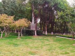-后襄河公园