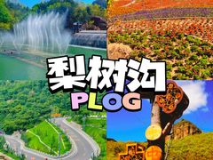 -桔子文创·企业团建·活动策划·拓展会议