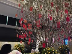 -春晖园度假酒店温泉