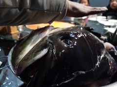 -好灶头妈妈菜·柴火灶台鱼·千岛湖土菜地标美食