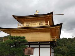 -豆政(金閣寺境内売店)